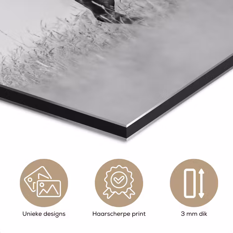 Paarden - Gras - Zwart - Wit aluminium wit klein -closeup_NL