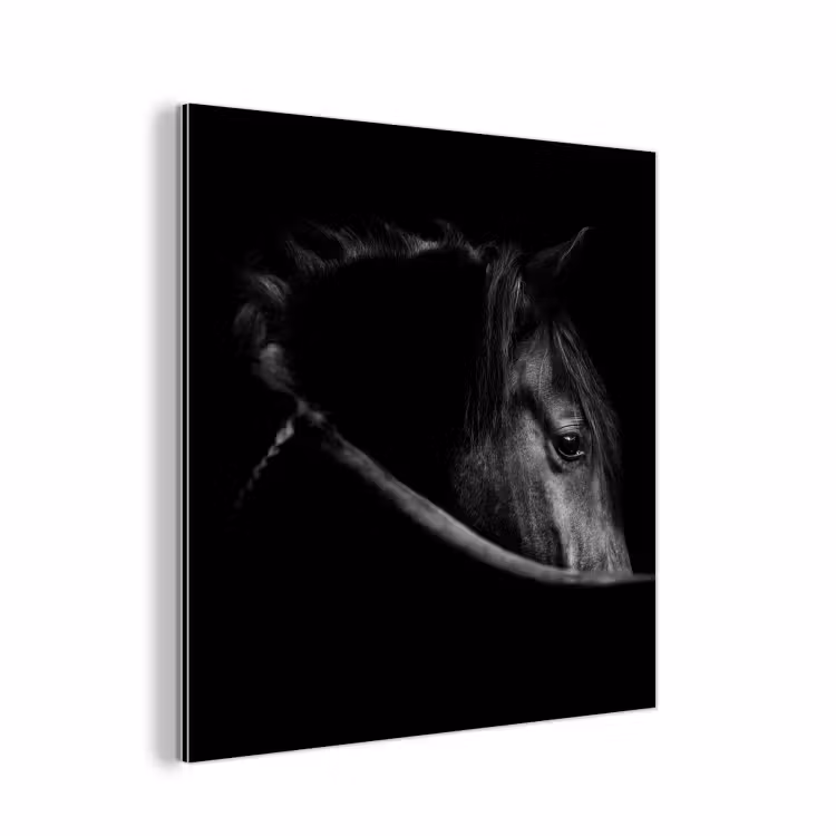 Paarden - Portret - Zwart - Dieren aluminium wit klein -3d