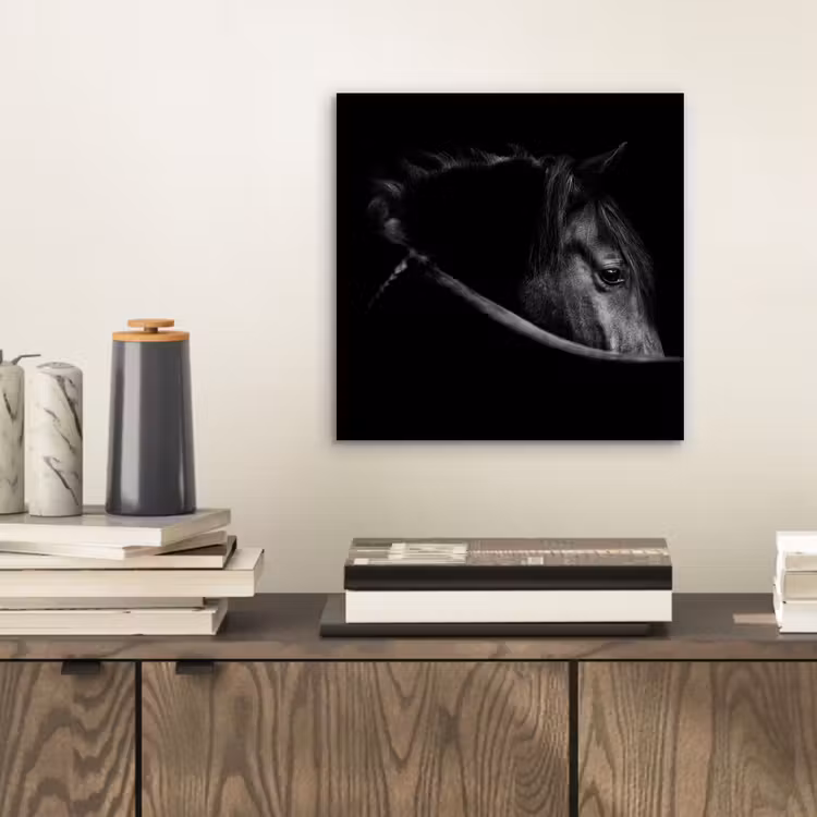 Paarden - Portret - Zwart - Dieren aluminium wit klein -sfeer1