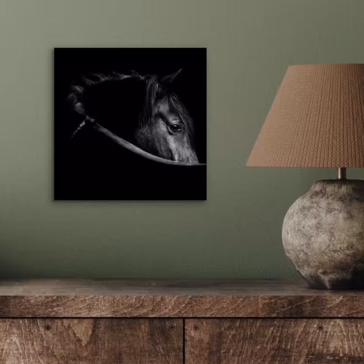 Paarden - Portret - Zwart - Dieren aluminium wit klein -sfeer2