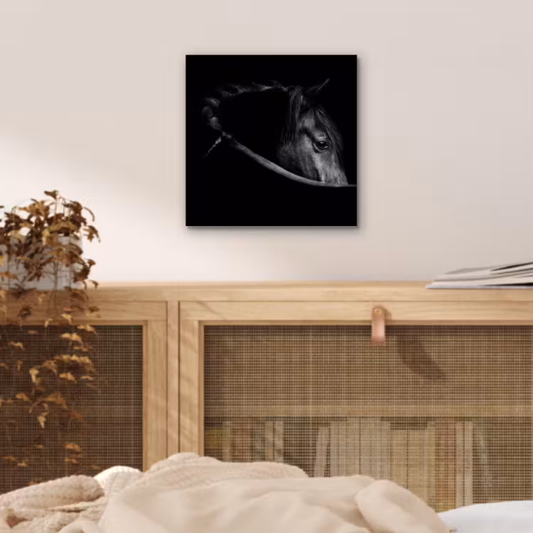 Paarden - Portret - Zwart - Dieren aluminium wit klein -sfeer3
