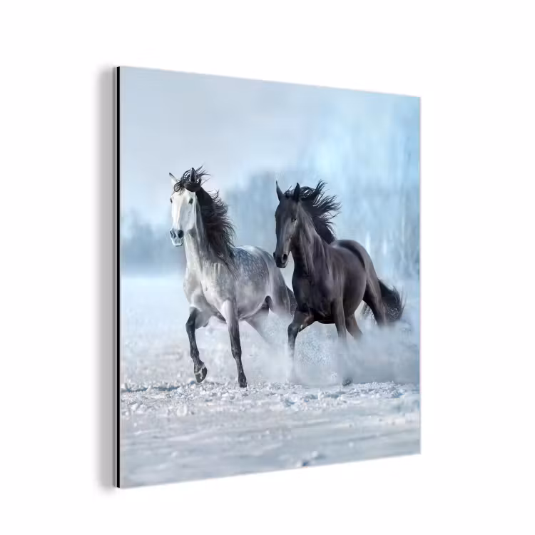 Paarden - Winter - Dieren - Natuur - Sneeuw aluminium wit klein -3d