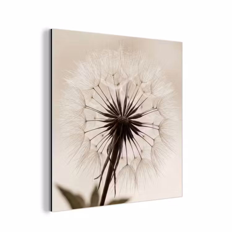 Paardenbloem - Minimalistisch - Wit aluminium wit klein -3d