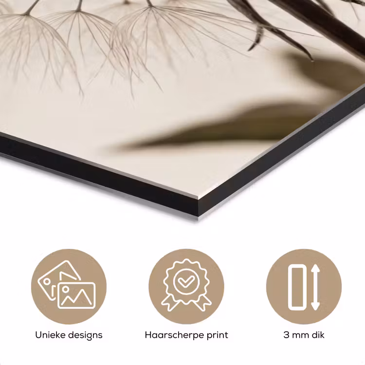Paardenbloem - Minimalistisch - Wit aluminium wit klein -closeup_NL