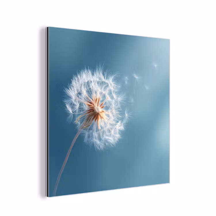Paardenbloem - Wind - Blauw aluminium wit klein -3d