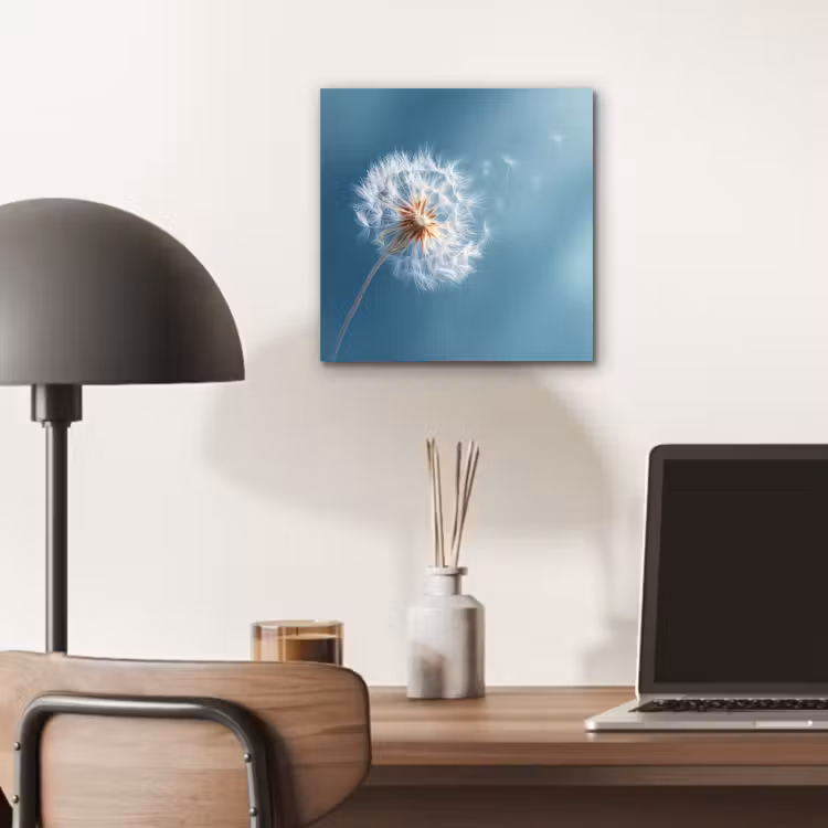 Paardenbloem - Wind - Blauw aluminium wit klein -sfeer5