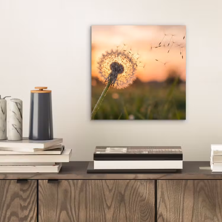 Paardenbloem - Zonsondergang - Veld aluminium wit klein -sfeer1