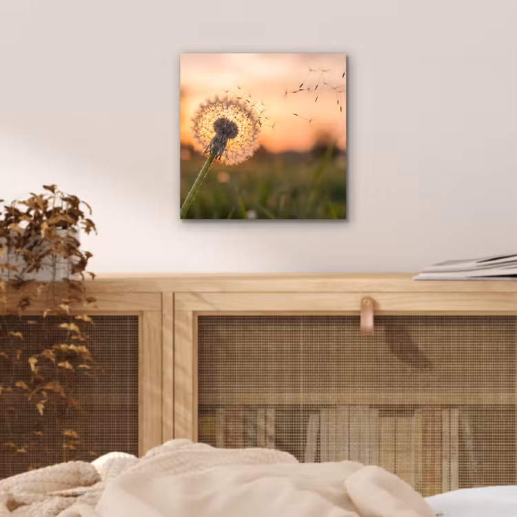 Paardenbloem - Zonsondergang - Veld aluminium wit klein -sfeer3