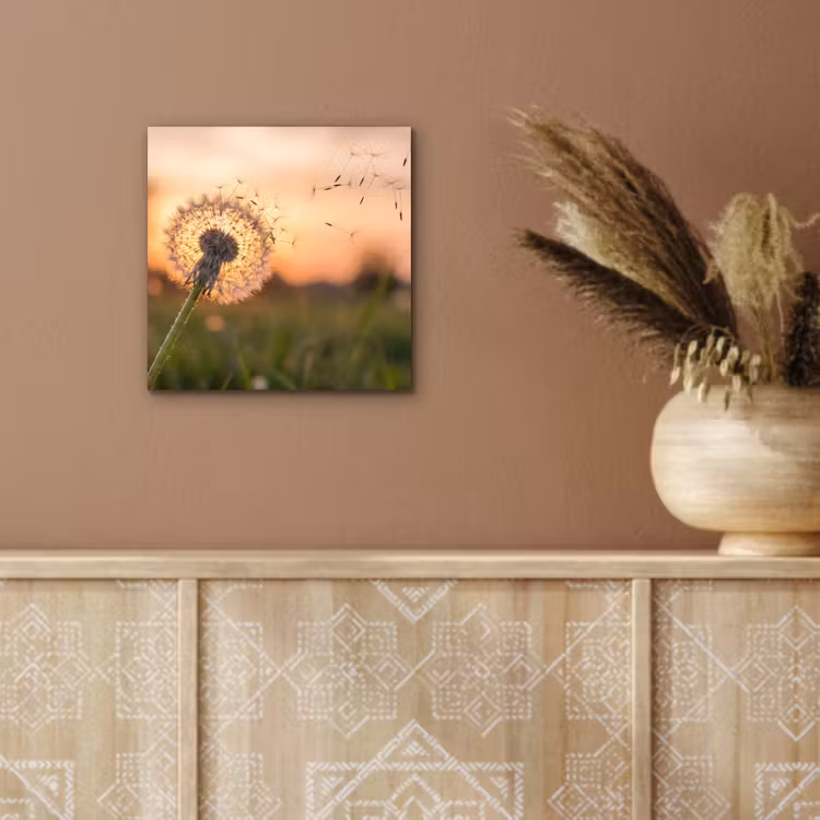 Paardenbloem - Zonsondergang - Veld aluminium wit klein -sfeer4