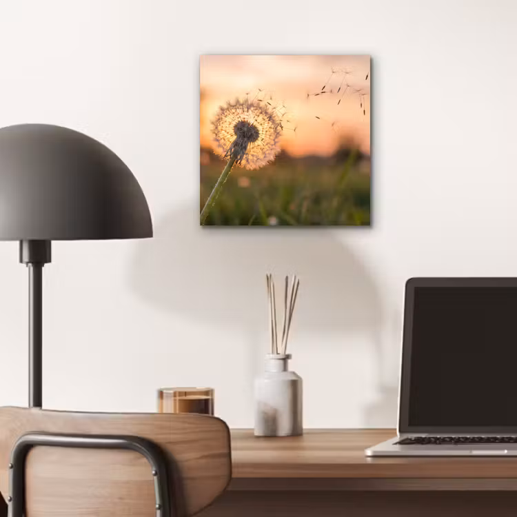 Paardenbloem - Zonsondergang - Veld aluminium wit klein -sfeer5