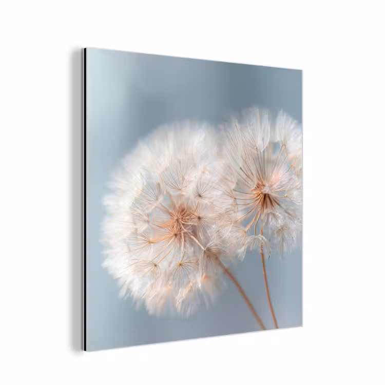 Paardenbloemen - Pluisjes - Wit aluminium wit klein -3d