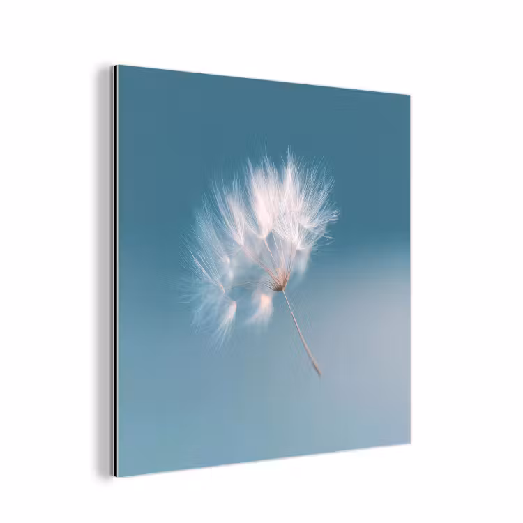 Paardenbloempluisje - Blauw - Lucht aluminium wit klein -3d