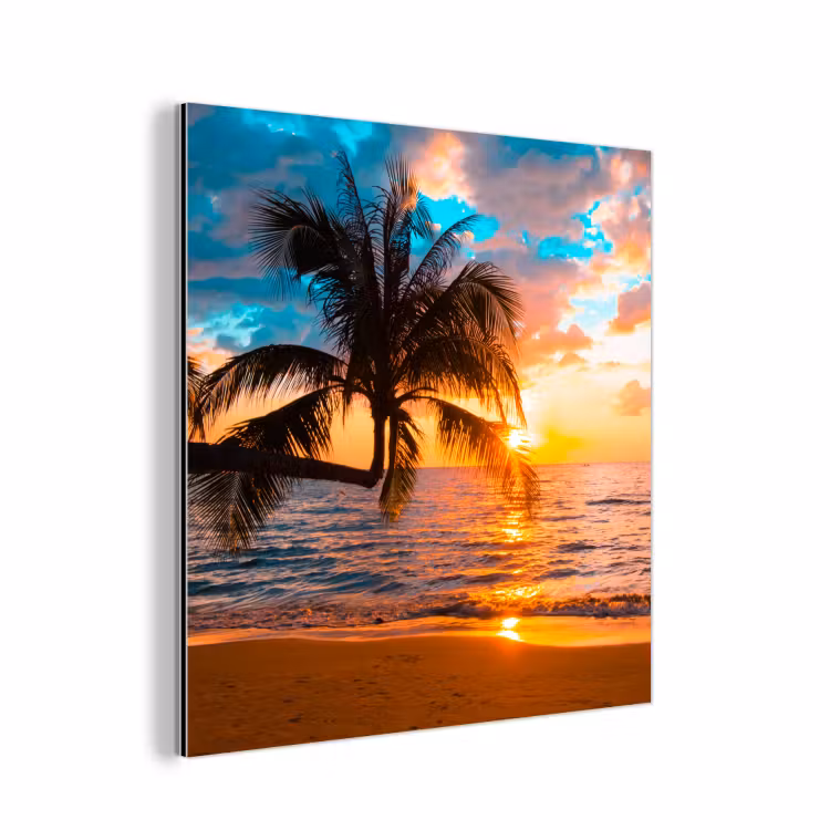 Palme - Sonnenuntergang - Horizont - Strand - Meer - Tropisch aluminium wit klein -3d