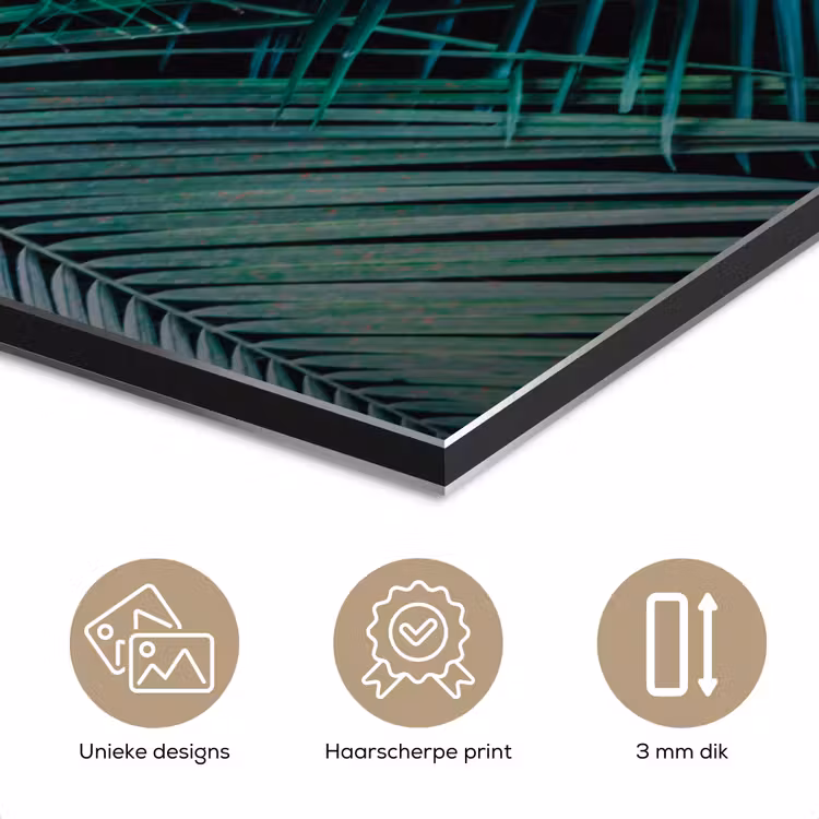 Palmblad - Tropisch - Natuur - Jungle aluminium wit klein -closeup_NL