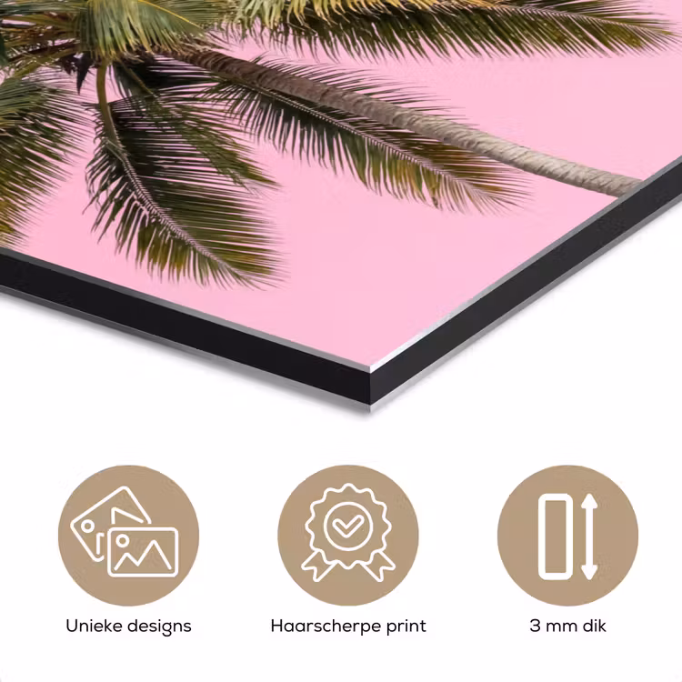 Palmboom - Tropisch - Pink aluminium wit klein -closeup_NL