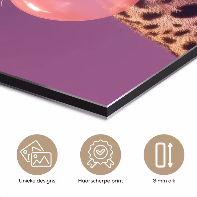 Panter - Zonnebril - Kauwgombel - Roze aluminium wit klein -closeup_NL