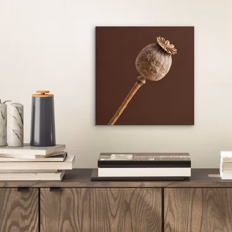 Papaverbol - Droogbloem - Bruin - Minimalistisch aluminium wit klein -sfeer1