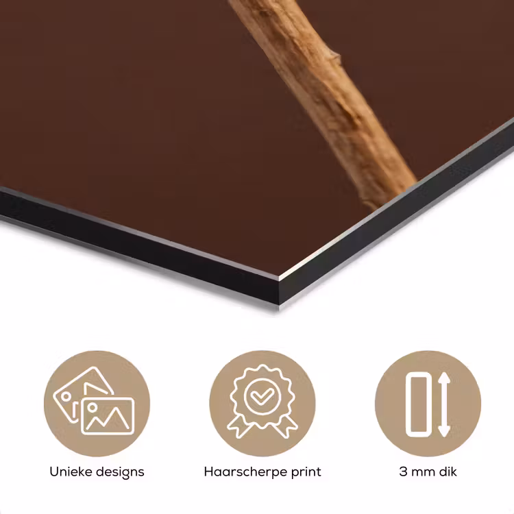 Papaverbol - Droogbloem - Bruin - Minimalistisch aluminium wit klein -closeup_NL