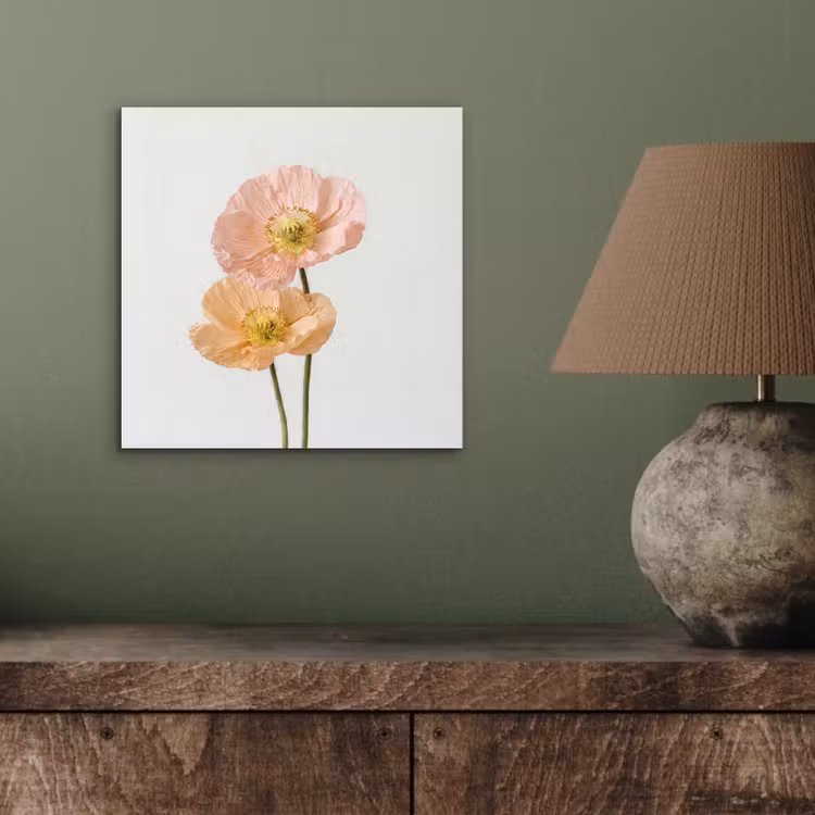 Papavers - Botanisch - Roze aluminium wit klein -sfeer2