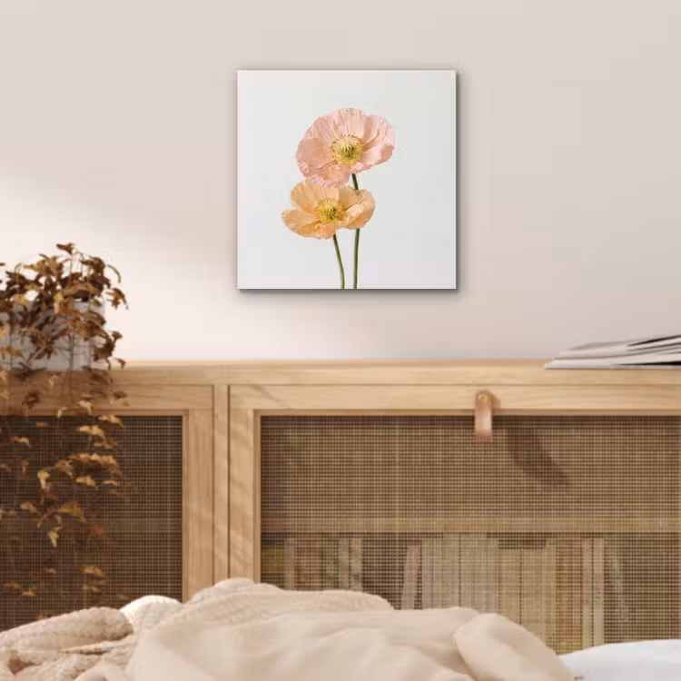 Papavers - Botanisch - Roze aluminium wit klein -sfeer3