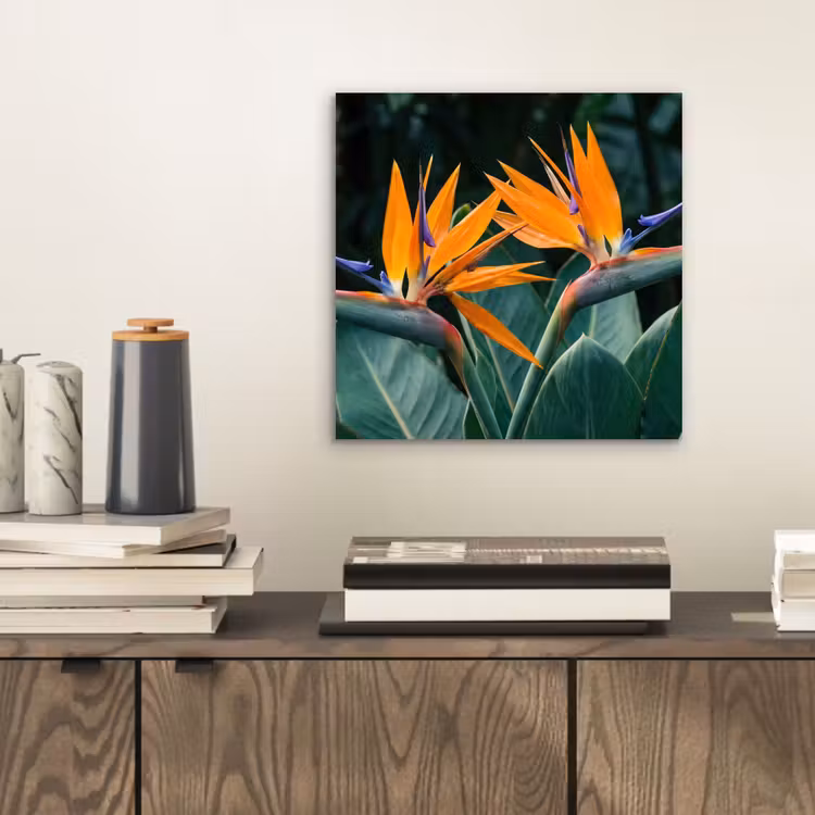 Paradijsvogel - Bloem - Exotisch aluminium wit klein -sfeer1