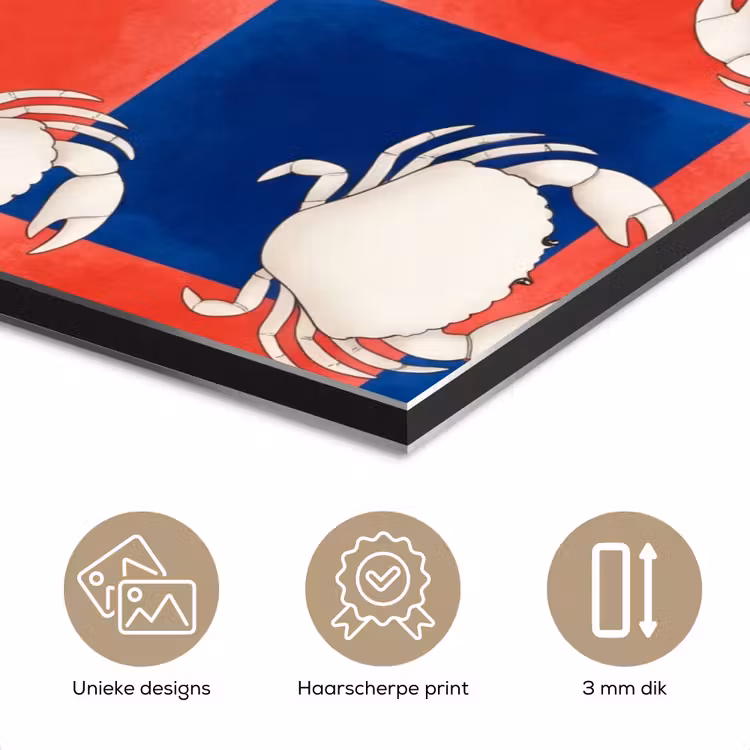 Patroon - Zeeleven - Rood - Blauw - Abstract aluminium wit klein -closeup_NL