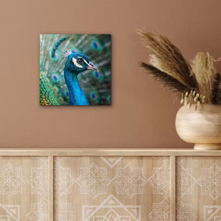 Pauw - Veren - Blauw aluminium wit klein -sfeer4