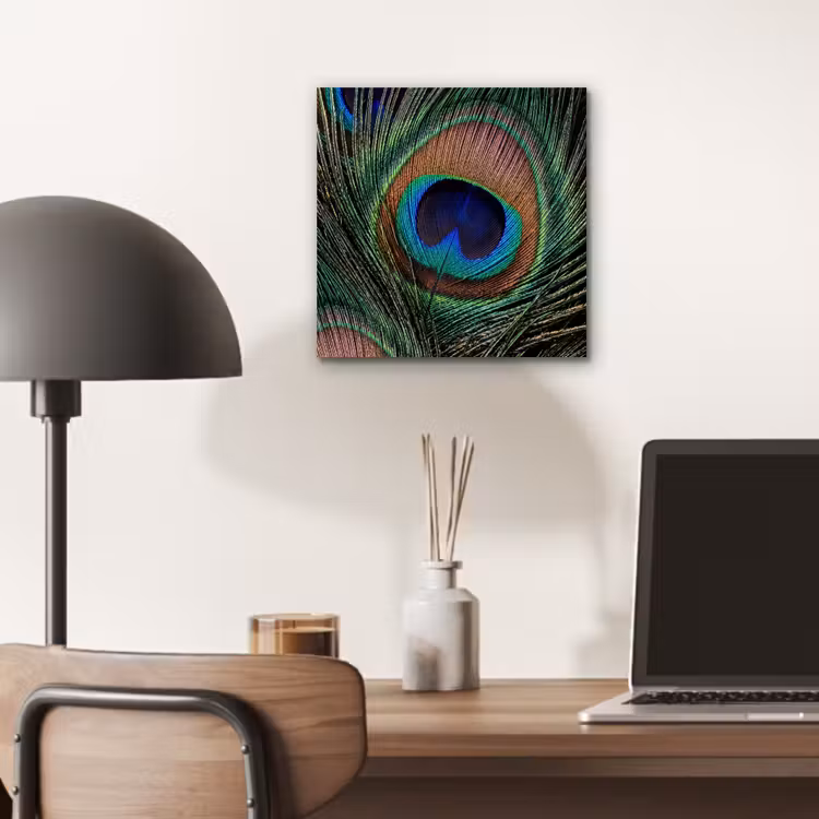Pauwenveren - Klassiek - Groen aluminium wit klein -sfeer5