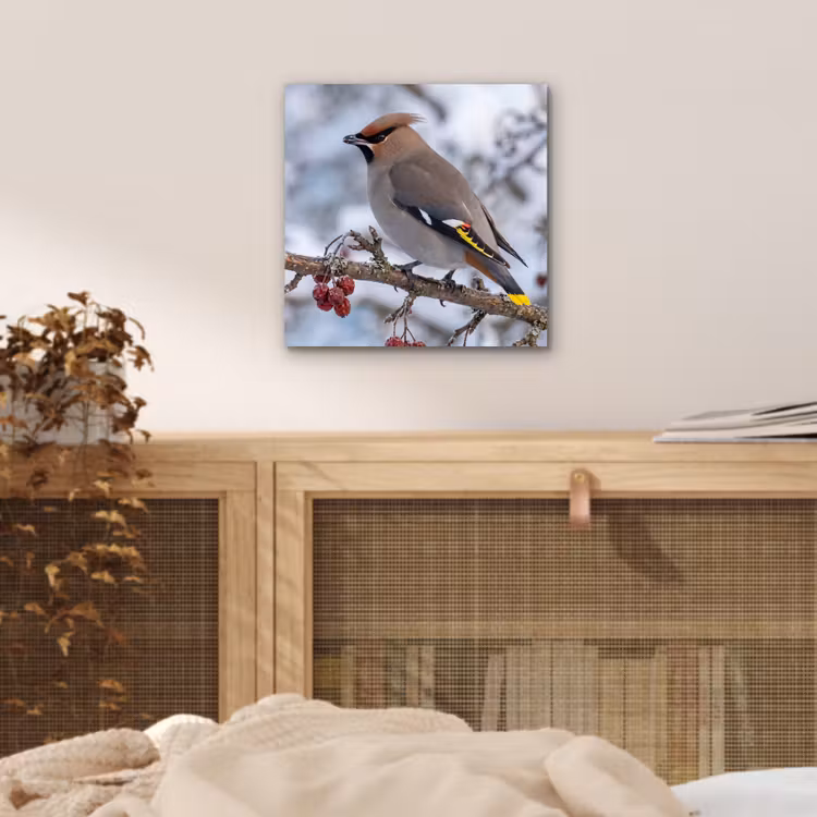 Pestvogel - Bessen - Winter - Natuur aluminium wit klein -sfeer3
