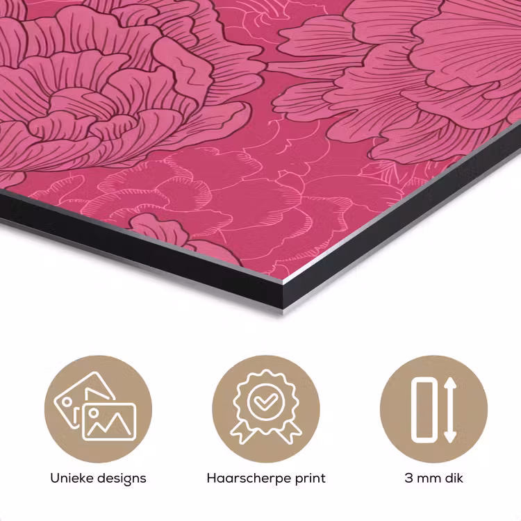 Pioenrozen - Energiek - Roze aluminium wit klein 46 -closeup_NL
