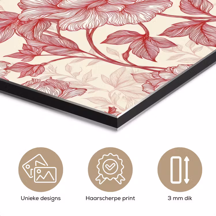 Pioenrozen - Modern -  Rood aluminium wit klein 46 -closeup_NL