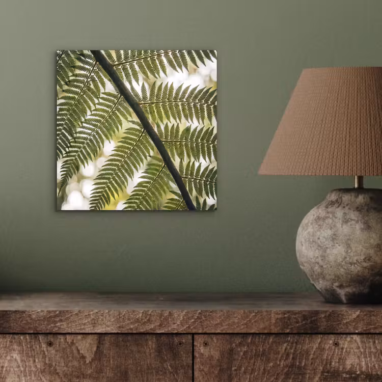 Plant - Blad - Natuur - Groen - Detail aluminium wit klein -sfeer2