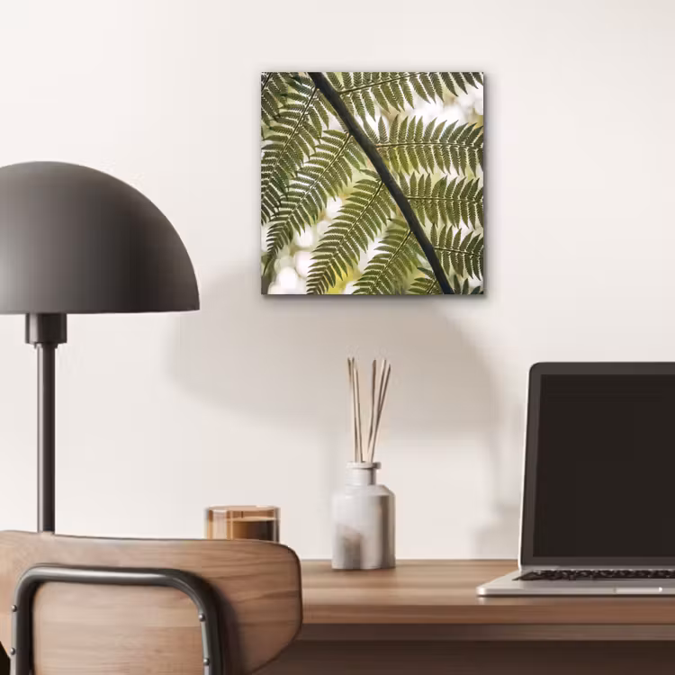 Plant - Blad - Natuur - Groen - Detail aluminium wit klein -sfeer5