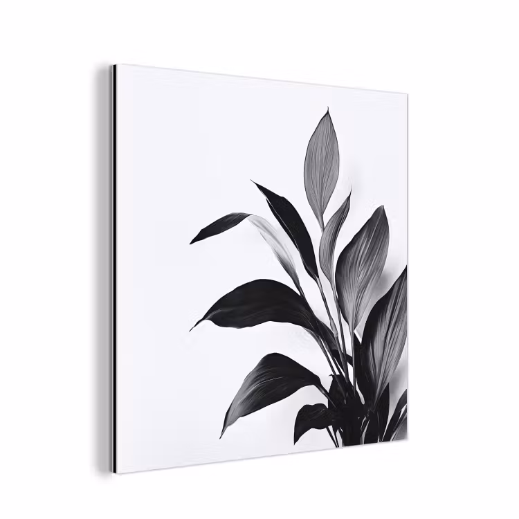 Plant - Bladeren - Minimalistisch - Zwart aluminium wit klein -3d