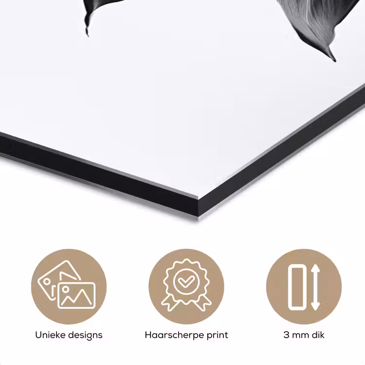 Plant - Bladeren - Minimalistisch - Zwart aluminium wit klein -closeup_NL