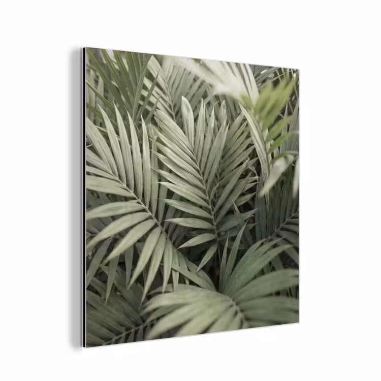 Plant - Palmbladeren - Natuur - Groen aluminium wit klein -3d
