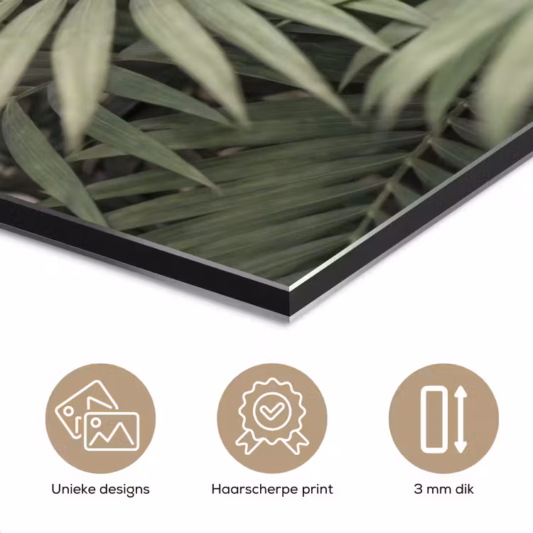 Plant - Palmbladeren - Natuur - Groen aluminium wit klein -closeup_NL