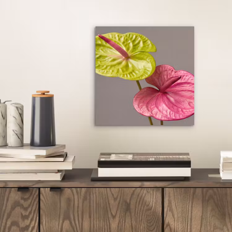 Planten - Anthurium - Groen - Roze aluminium wit klein -sfeer1