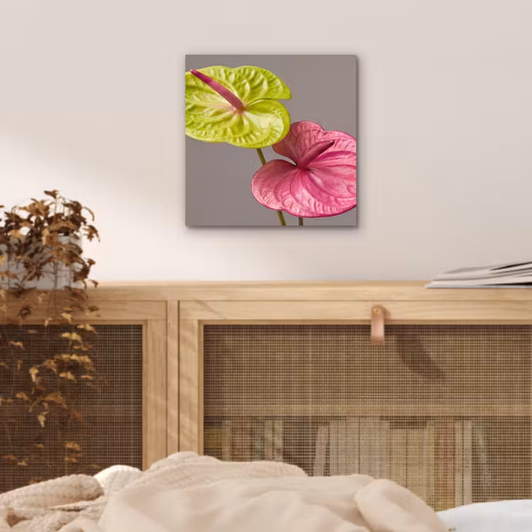 Planten - Anthurium - Groen - Roze aluminium wit klein -sfeer3