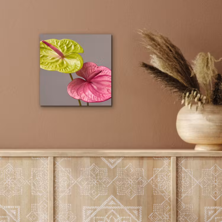Planten - Anthurium - Groen - Roze aluminium wit klein -sfeer4