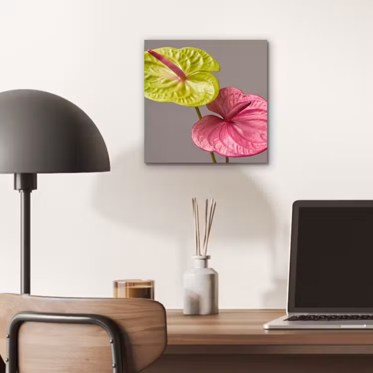 Planten - Anthurium - Groen - Roze aluminium wit klein -sfeer5