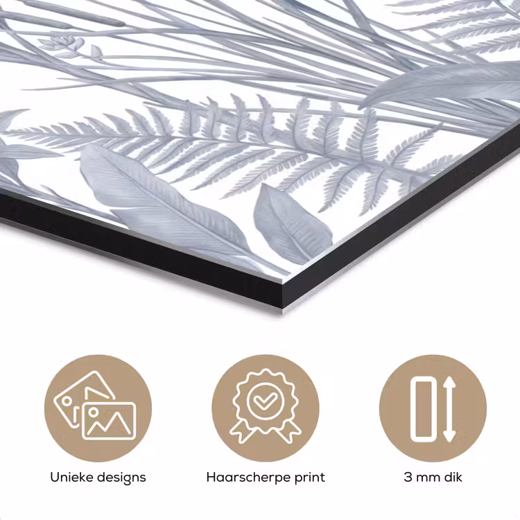 Planten - Bladeren - Natuur - Grijs aluminium wit klein -closeup_NL