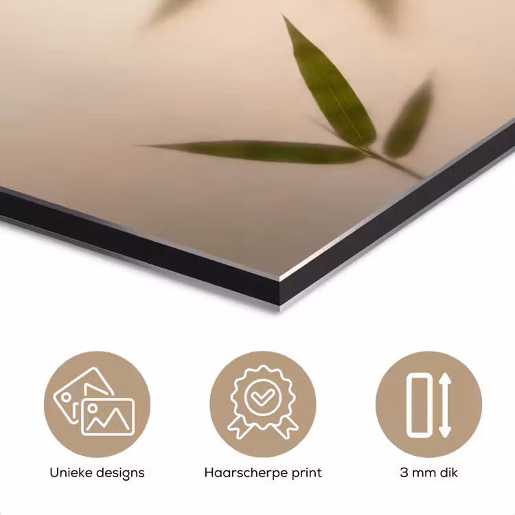 Planten - Bladeren - Natuur - Groen aluminium wit klein -closeup_NL
