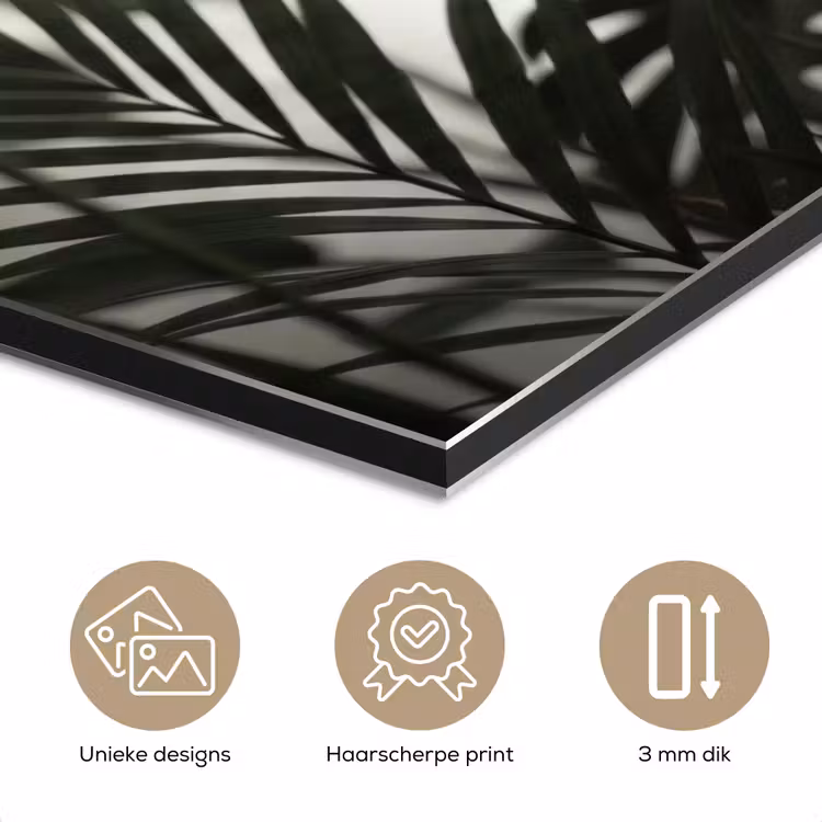 Planten - Bladeren - Natuur - Minimalistisch - Groen aluminium wit klein -closeup_NL