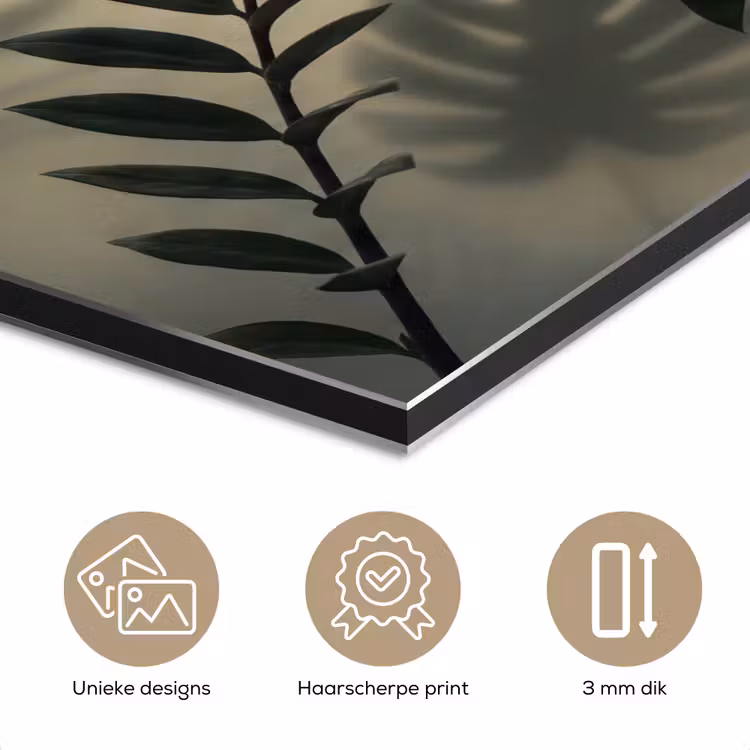 Planten - Bladeren - Schaduwen - Groen - Modern aluminium wit klein -closeup_NL