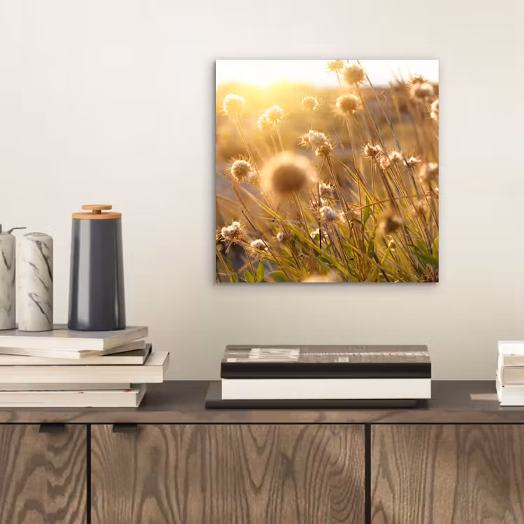 Planten - Natuur - Bloemen - Zon - Horizon aluminium wit klein -sfeer1