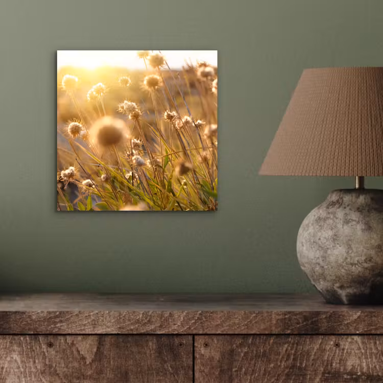 Planten - Natuur - Bloemen - Zon - Horizon aluminium wit klein -sfeer2