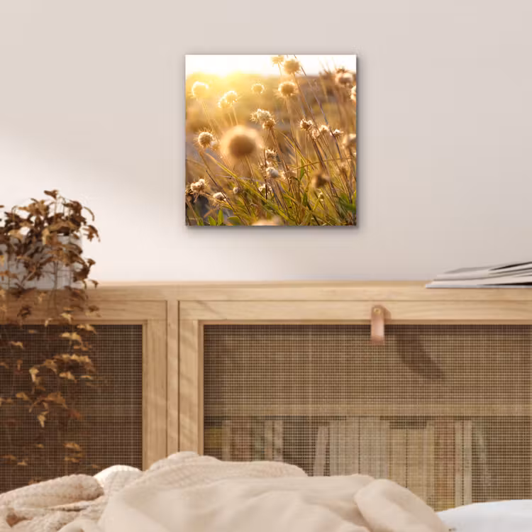 Planten - Natuur - Bloemen - Zon - Horizon aluminium wit klein -sfeer3
