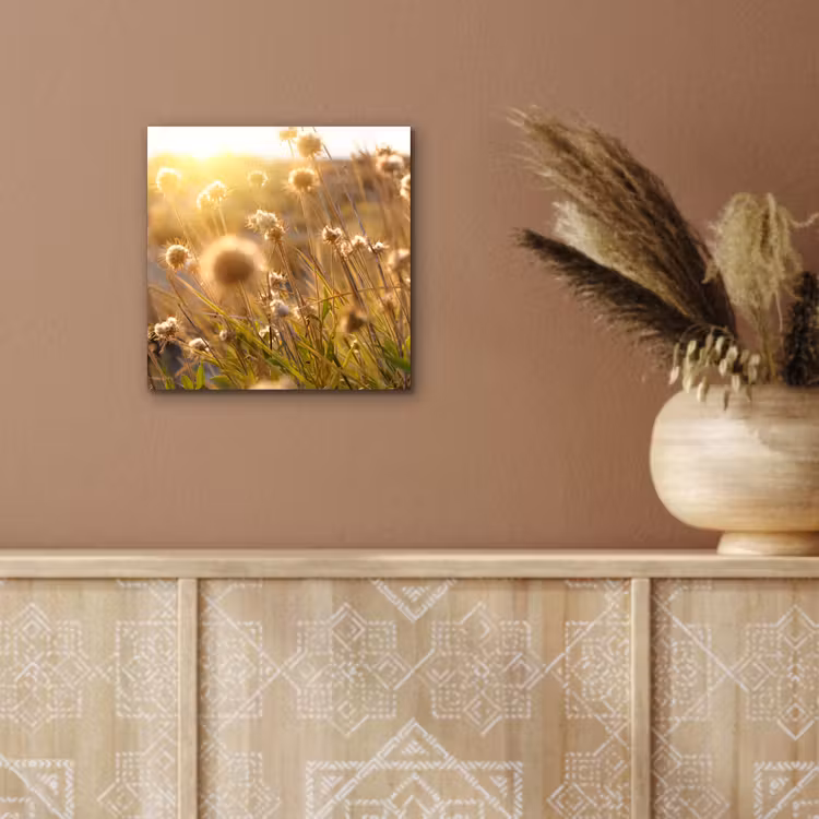 Planten - Natuur - Bloemen - Zon - Horizon aluminium wit klein -sfeer4
