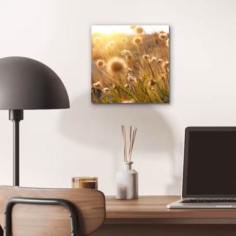 Planten - Natuur - Bloemen - Zon - Horizon aluminium wit klein -sfeer5